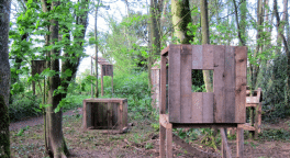 Favela houses in the woods at OAK